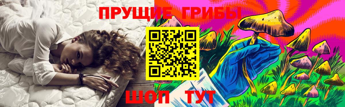 Бахчисарай  Псилоцибиновые грибы Psilocybine cubensis  Вход с VPN  как найти   Псилоцибиновые грибы мицелий 
